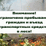 Приказ об ограничении посещения лесов с 3 по 23 мая 2025 года. - Мокроусовский муниципальный округ