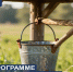 Программа «Родной колодец». - Мокроусовский муниципальный округ